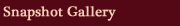 Snapshot Gallery